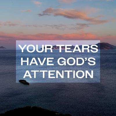 God Vindicated You