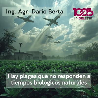 “Plagas, Clima y Silencios: la otra cara del campo”