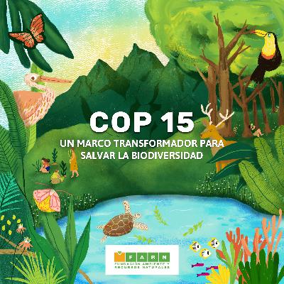 COP15: Un marco transformador para salvar la biodiversidad