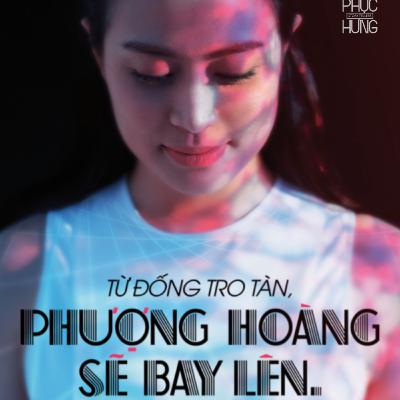 Vàng anh và phượng hoàng Vàng anh và phượng hoàng