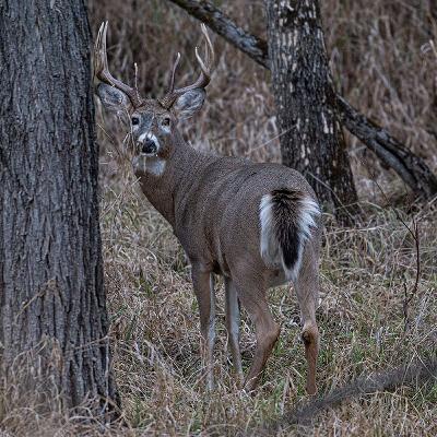 Great fishing with hunting right around the corner