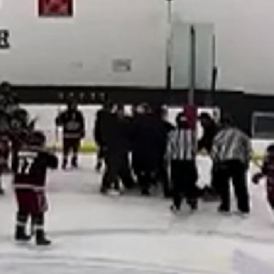 OMHA investigating on-ice coaches confrontation after a game in Lakeshore