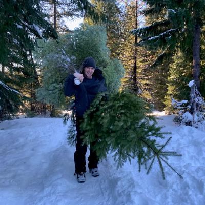 Getting a Christmas tree in Oregon's national forest is affordable and fun. Here's how to do it Getting a Christmas tree in Oregon's national forest is affordable and fun. Here's how to do it
