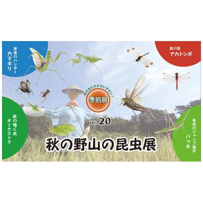 10月17日OA まん中ぐんま元気情報 「季節展「秋の野山の昆虫展」　」