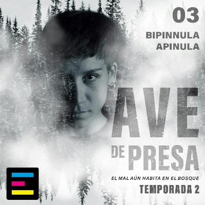 Temporada 2, Episodio 3: Bipinnula Apinula