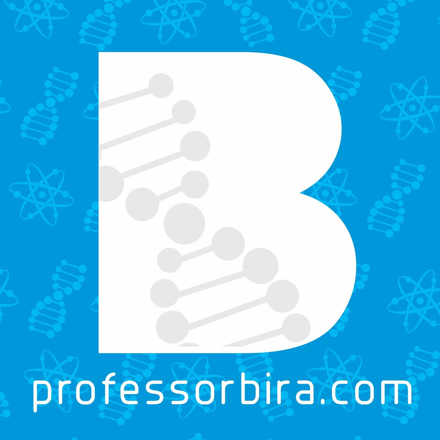 professorbira.com