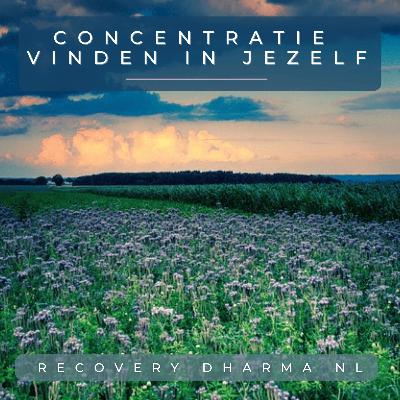 Meditatie - Concentratie vinden in jezelf Meditatie - Concentratie vinden in jezelf