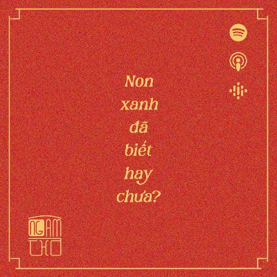 Non xanh đã biết hay chưa?