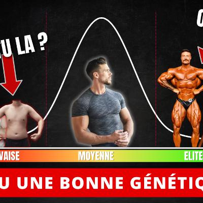 L'IMPORTANCE DE LA GÉNÉTIQUE EN MUSCULATION