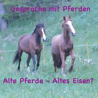 #45 Alte Pferde - Altes Eisen?
