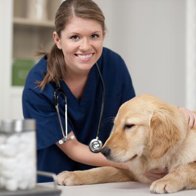 PAW HepatoAdvanced with PAW by Blackmores