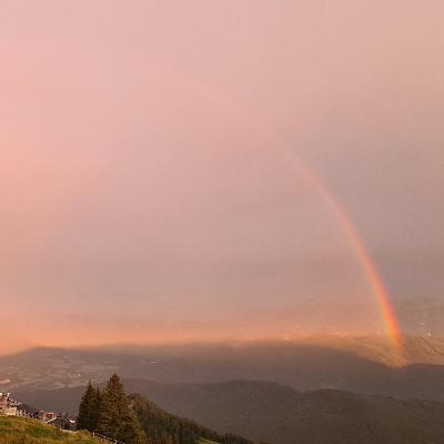 06 - Aurie und die Stille