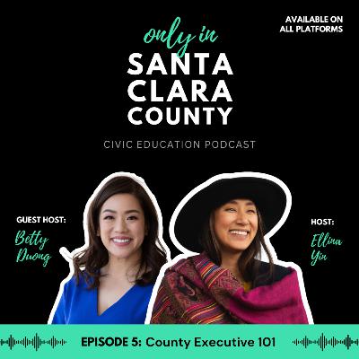 Episode 5: County Executive 101