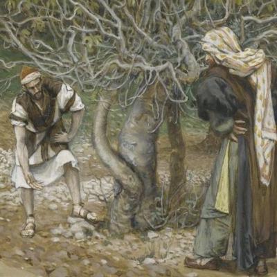 The Barren Fig Tree | Luke 13:6–9 | Midweek Lent 1 [Pastor Fitzpatrick)]