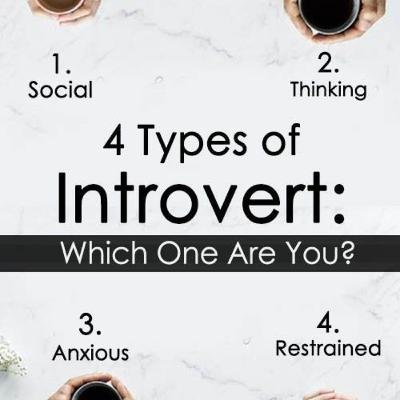 INTROVERT ada macemnya juga.......