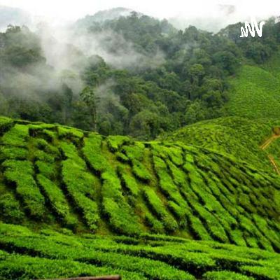 لنتهيأ لرمضان