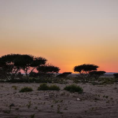 Reflections on an expedition: Oman