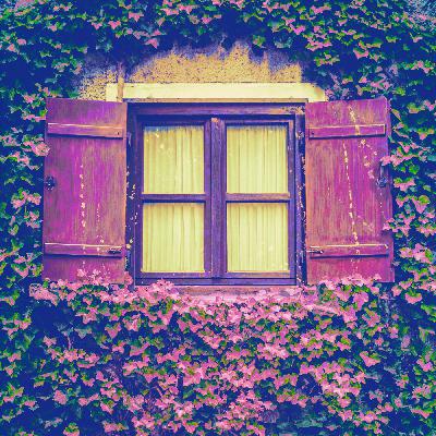 Sophia Merwald: Sperrgut Sophia Merwald: Sperrgut