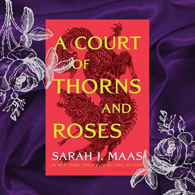 24 - A Court of Thorns and Roses 24 - A Court of Thorns and Roses