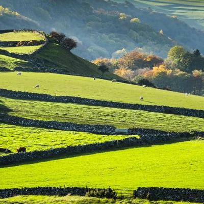 Living Planet: Greener pastures post-Brexit, invisible waste & online abuse Living Planet: Greener pastures post-Brexit, invisible waste & online abuse