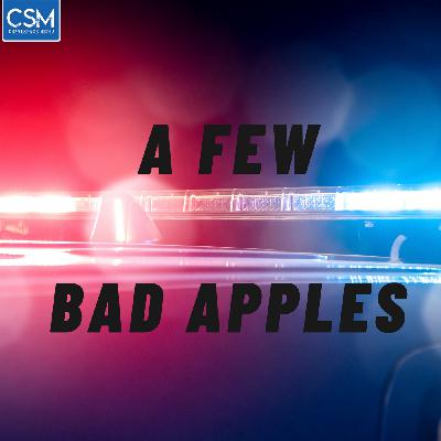 Season 2 Finale: Interview with Cerise Castle (Part 3 of LA County Sheriff Deputy Gangs) Season 2 Finale: Interview with Cerise Castle (Part 3 of LA County Sheriff Deputy Gangs)
