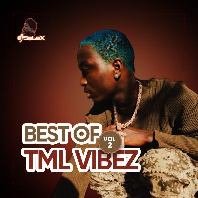 DJ Selex Best of Tml Vibez Vol 2
