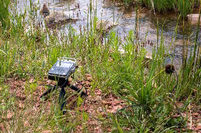 The Sounds of Sand Creek