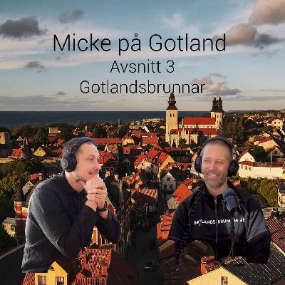 Gotlandsbrunnar