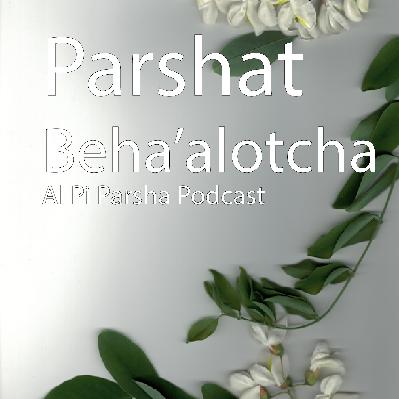 Episode 19: Beha'alotcha Episode 19: Beha'alotcha