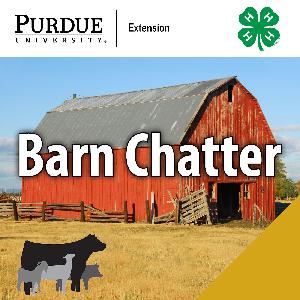 Indiana Bre​d and Owned Program: Showcasing Indiana Purebred Livestock