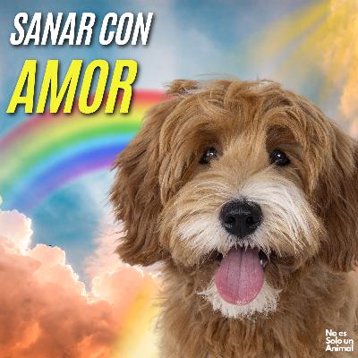 El Arte de SANAR: Réplicas 3D de tu Mascota | Entrevista Andika 3D El Arte de SANAR: Réplicas 3D de tu Mascota | Entrevista Andika 3D