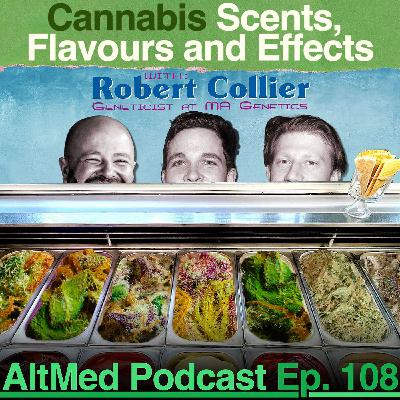 Cannabis Scents, Flavours and Effects: Robert Collier, Geneticist at MA Genetics (AltMed Ep.108)