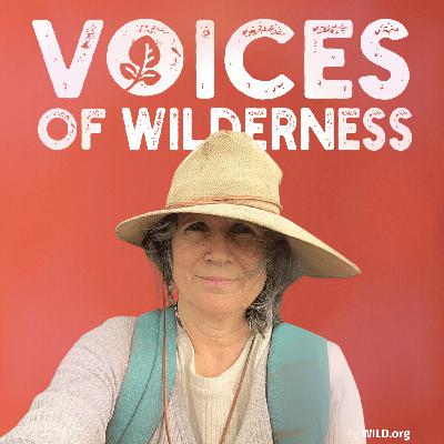 (50) "Whales and Wildlife  at Risk in Cortés" with Beatriz Padilla