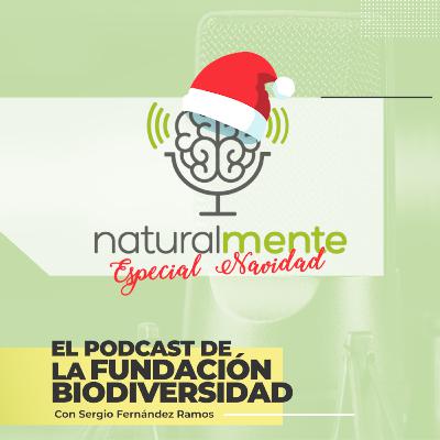 Edición especial Navidad 2023