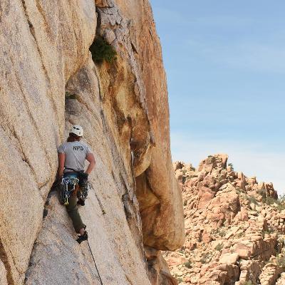 017: TC-Life is Struggling: And That's OK 017: TC-Life is Struggling: And That's OK