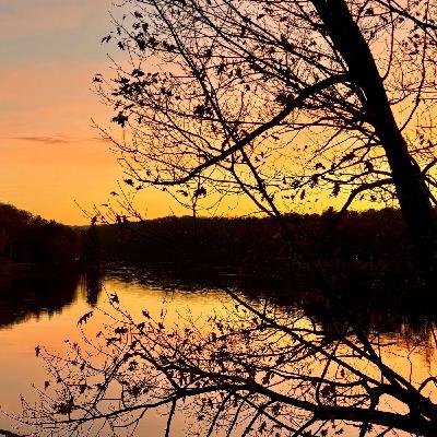 The connection between nature and brain health The connection between nature and brain health