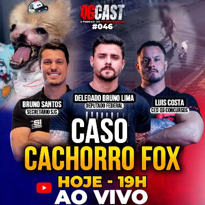 QG Cast com o Caso Cachorro Fox com Dr. Bruno Lima, Sophia - QG CAST #46