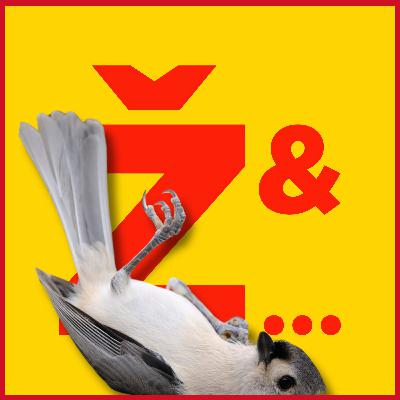 Žižek's Squashed Birds