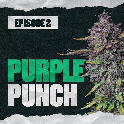 Purple Punch Purple Punch