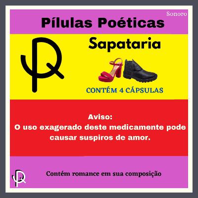 T2P4 Sapataria Poética