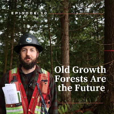 Old Growth Forests Are the Future Old Growth Forests Are the Future