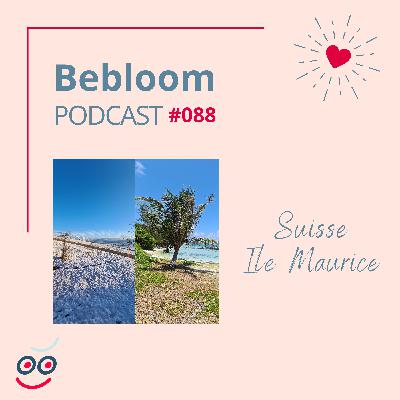 #088 - Suisse - Ile Maurice