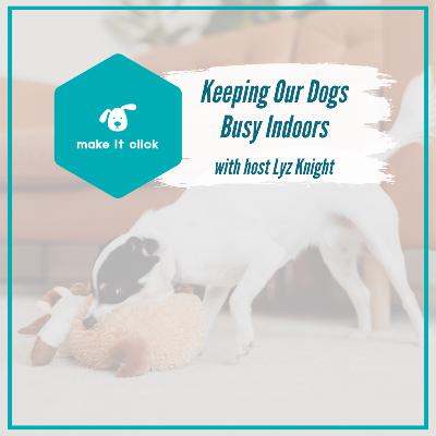 Keeping Our Dogs Busy Indoors
