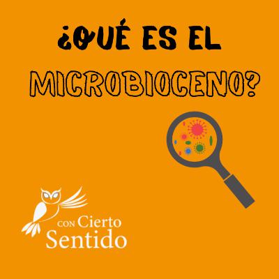 Episodio 8 - Temporada 38