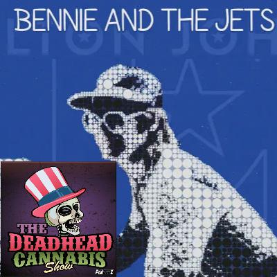 Grateful Dead Gems: Reliving a Classic Ventura Show