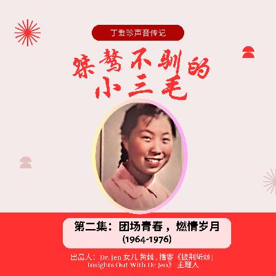 22.丁爱珍的声音传记 |《桀骜不驯的小三毛》第二集: 团场青春，燃情岁月