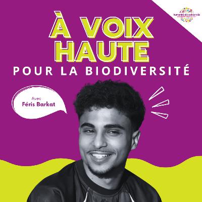 Féris Barkat : “Il y a une question éducative structurelle à retravailler”