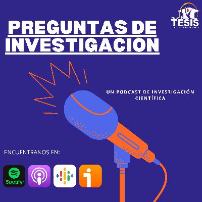 Preguntas de investigación