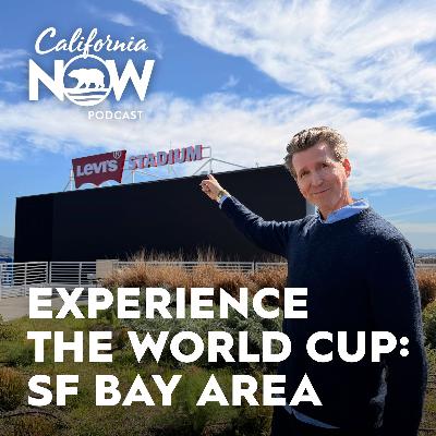 Best Ways to Experience the World Cup in the San Francisco Bay Area