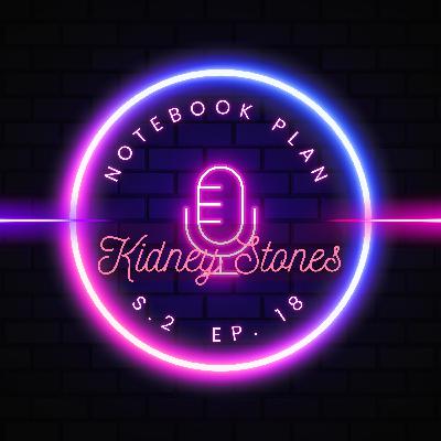 Kidney Stones Pain Cause Prevention Proactive how to Deal with